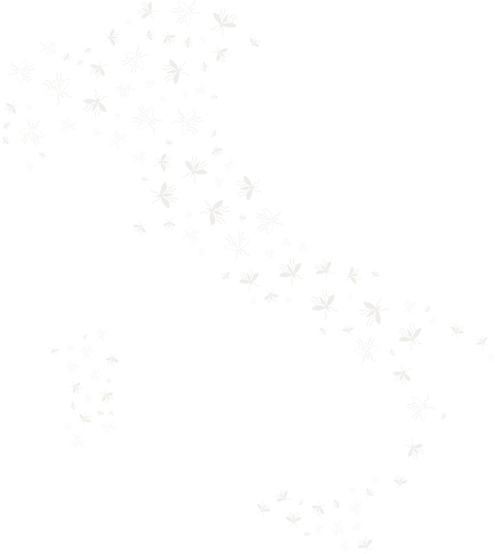 mappa italia con zanzare
