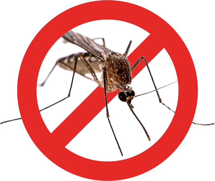 zanzara con simbolo di divieto